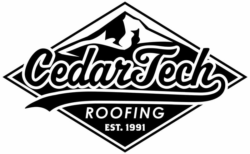 CedarTech Inc